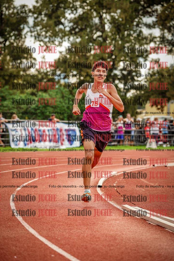 Fotos de los 800 m llanos de varones