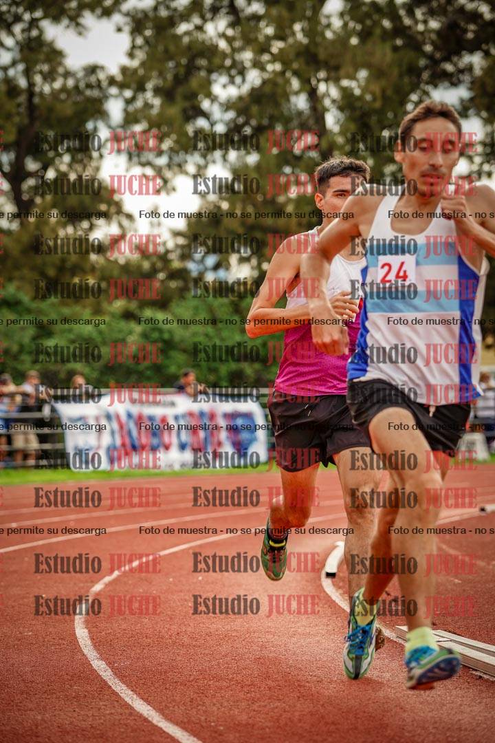 Fotos de los 800 m llanos de varones