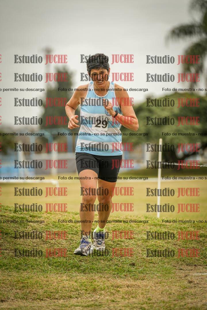 Fotos en el circuito