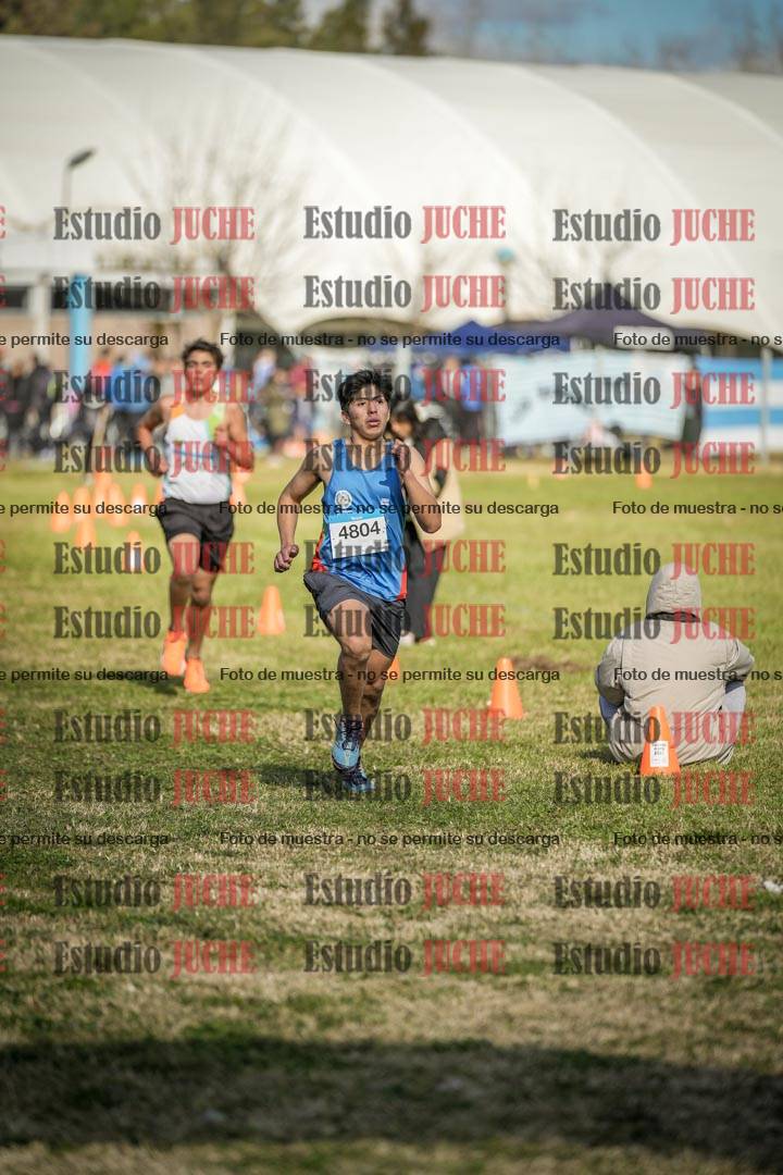Fotos de las llegadas