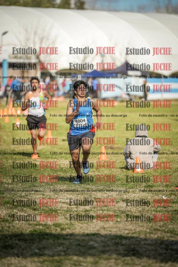 Fotos de las llegadas