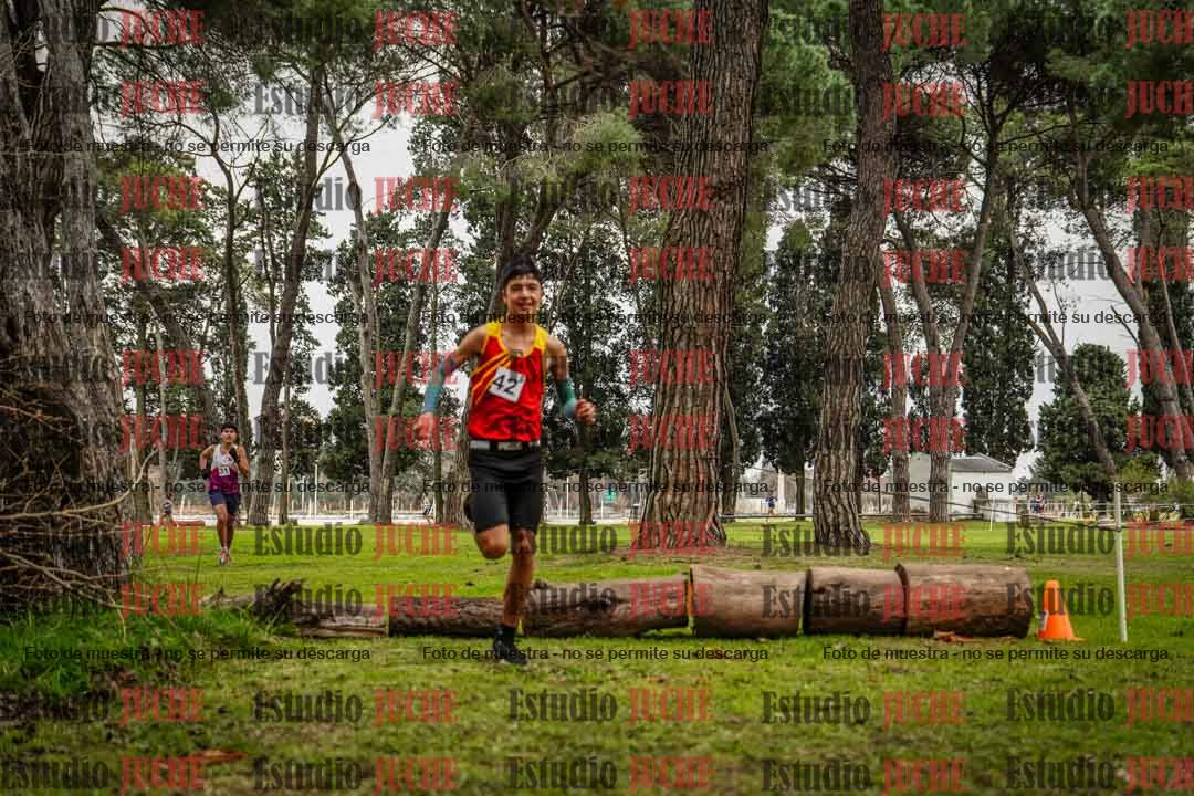 Fotos en el circuito