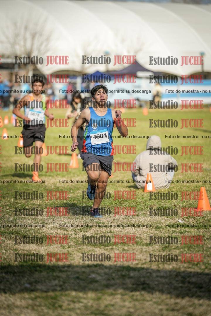 Fotos de las llegadas