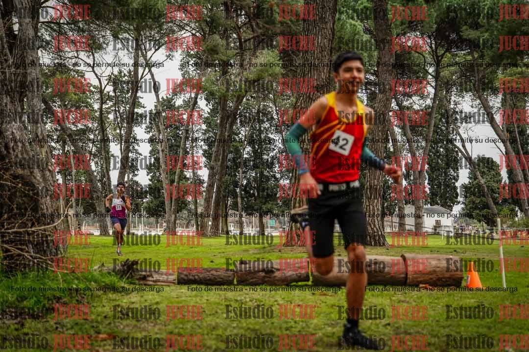 Fotos en el circuito