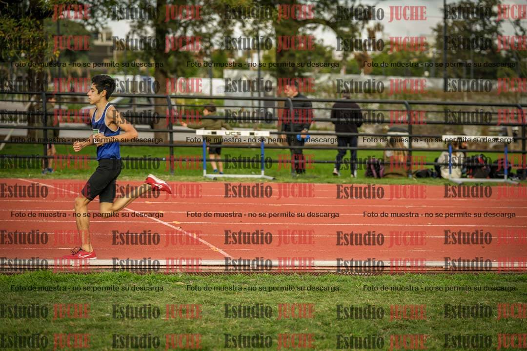 Fotos de los 3000 m llanos de varones