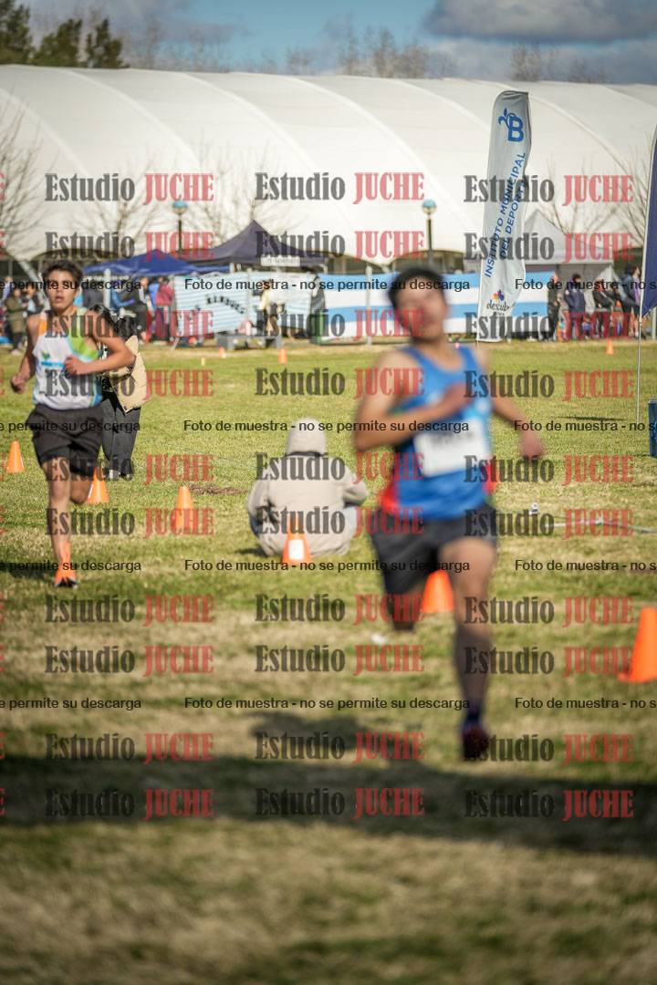 Fotos de las llegadas