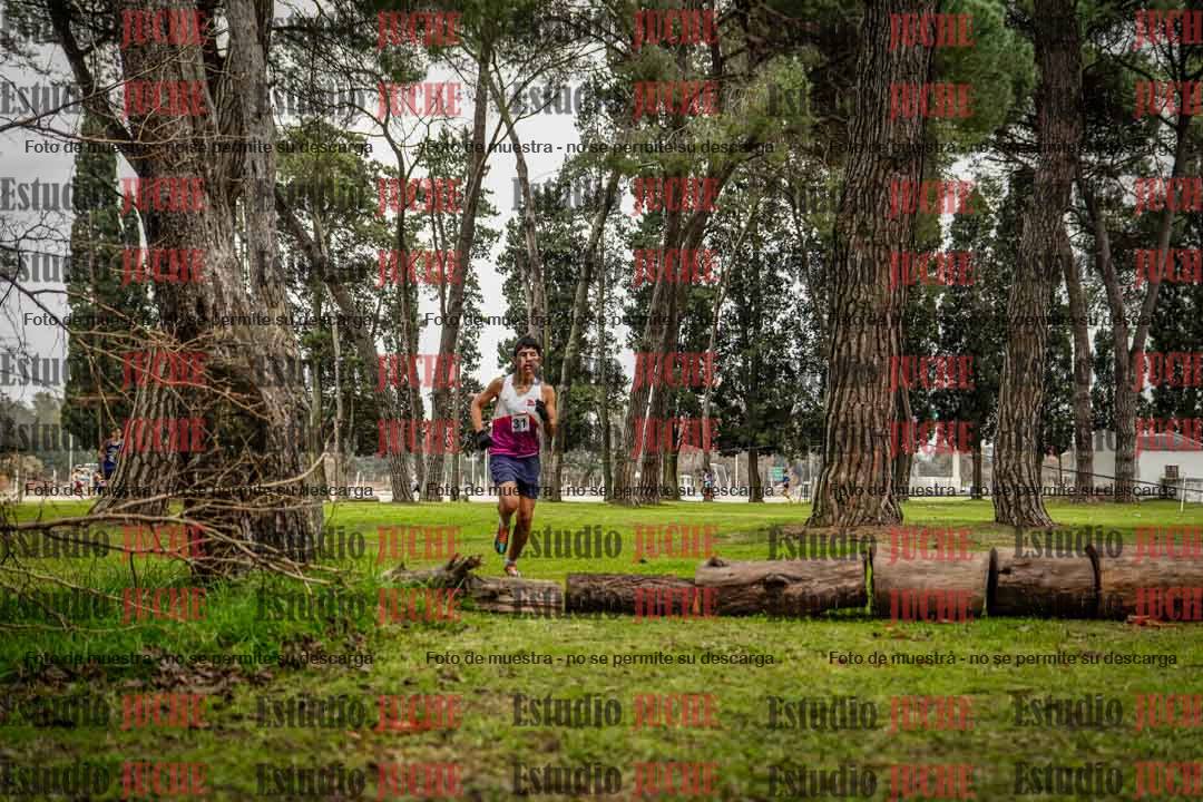 Fotos en el circuito