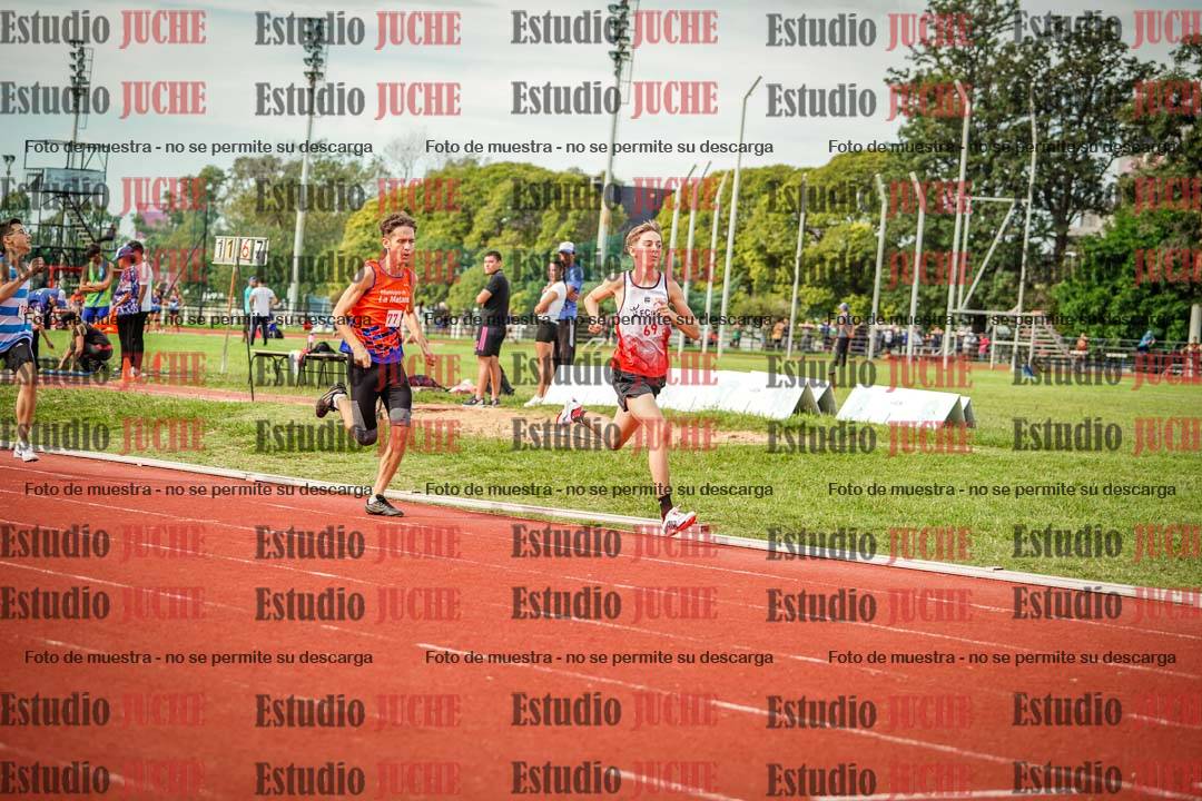 Fotos de los 800 m llanos de varones