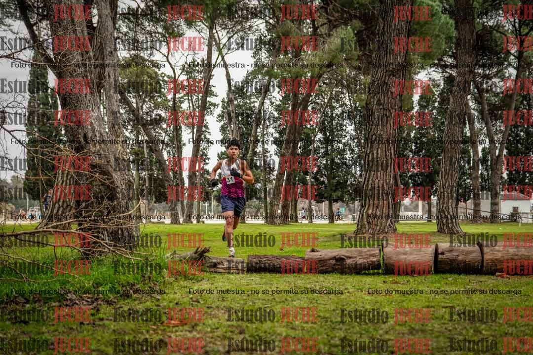 Fotos en el circuito