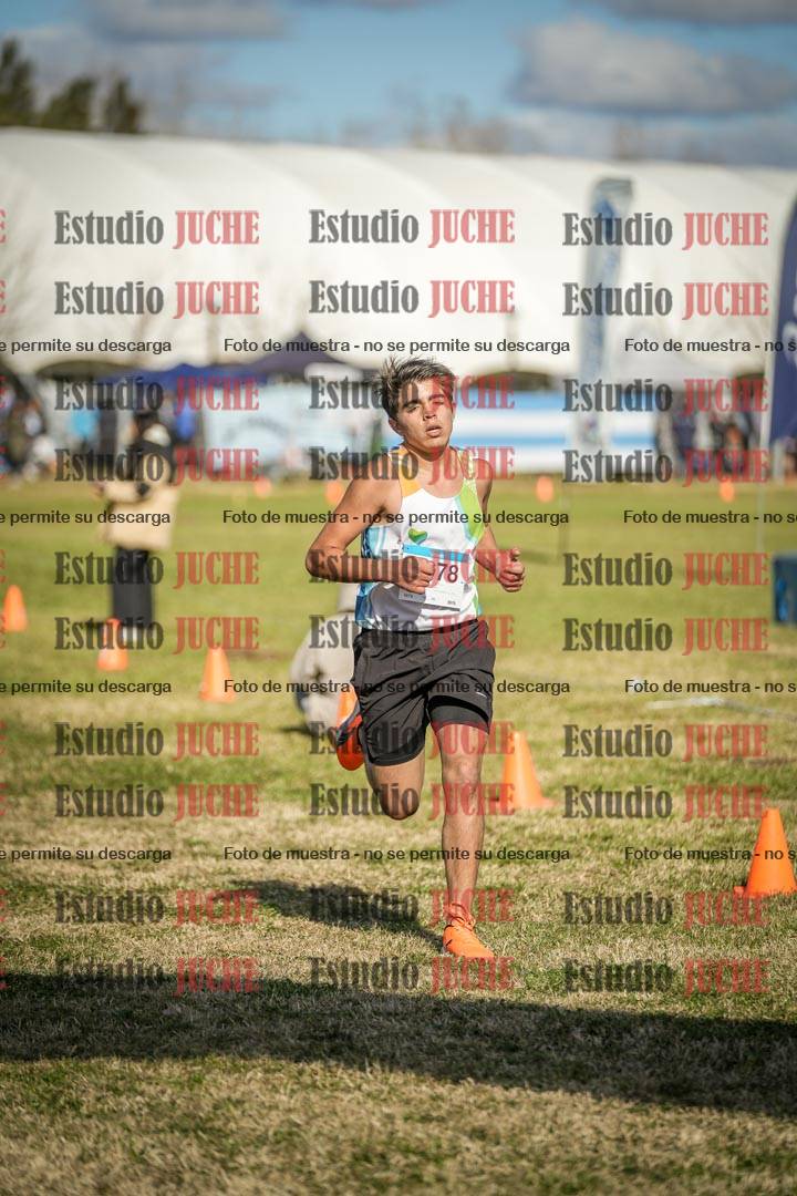 Fotos de las llegadas