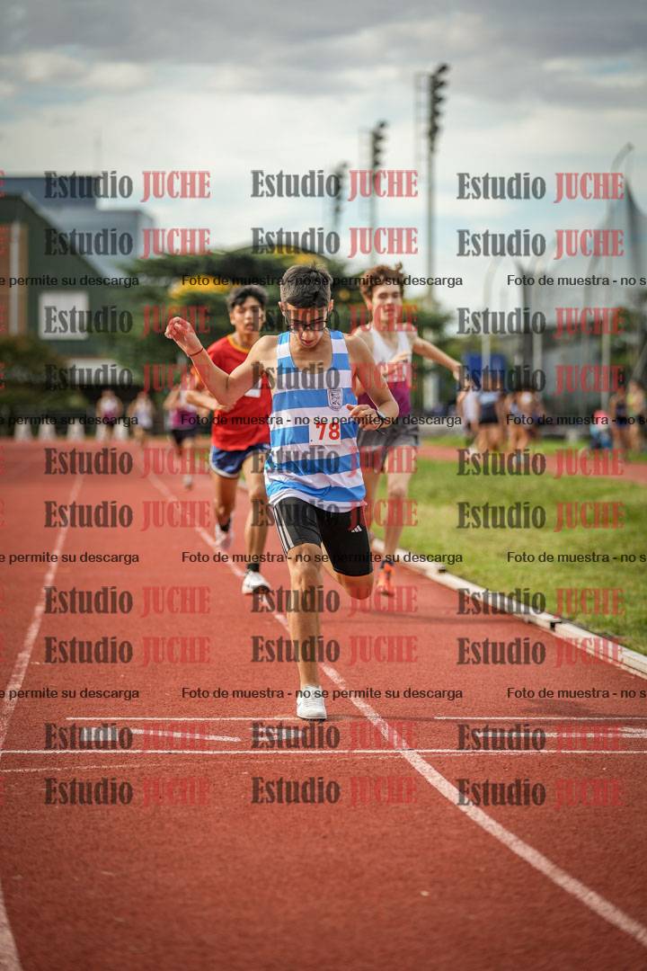 Fotos de los 800 m llanos de varones