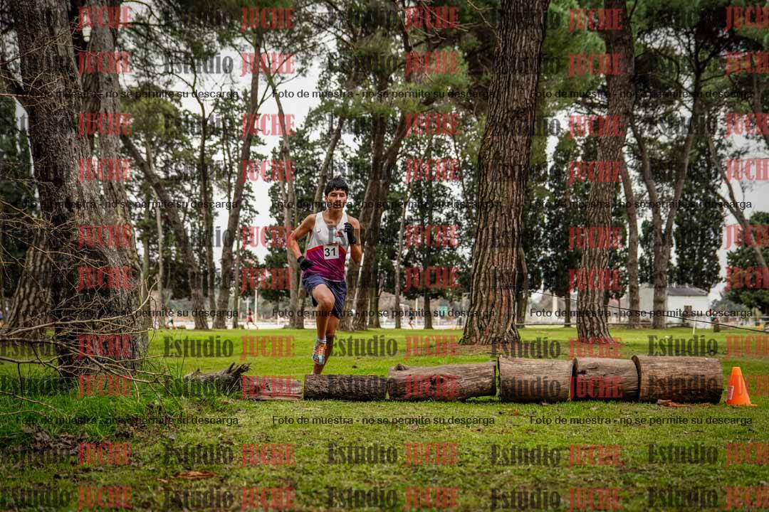 Fotos en el circuito