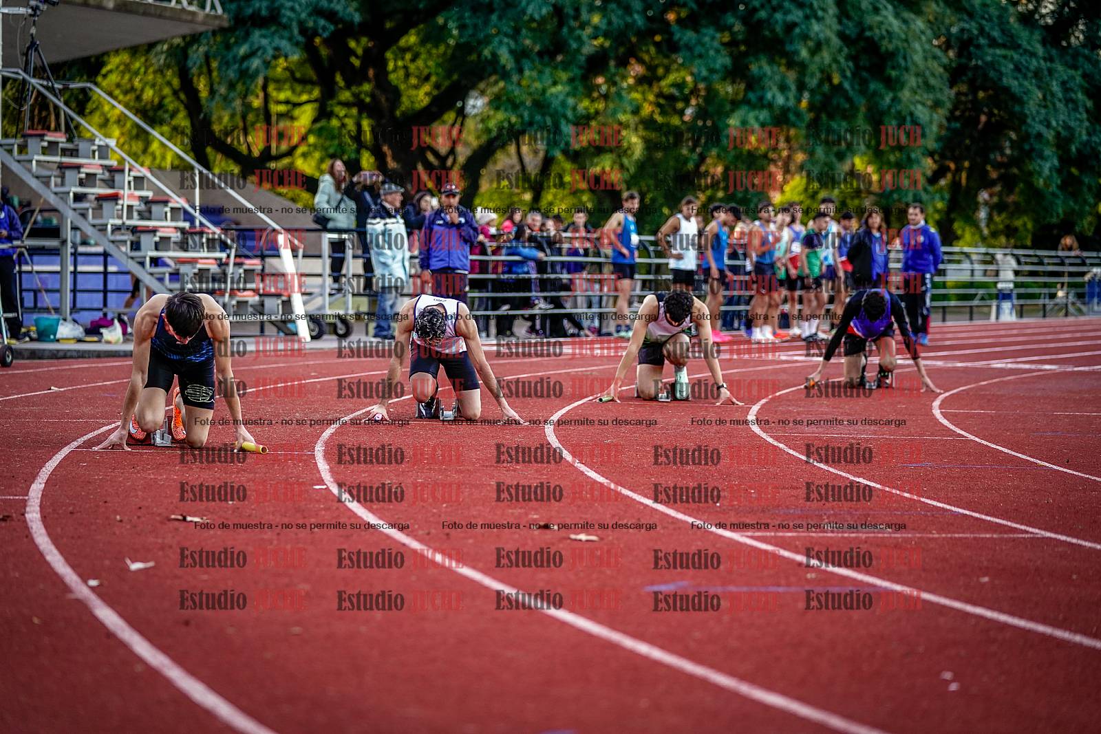 Fotos de las postas 4x400 m de varones