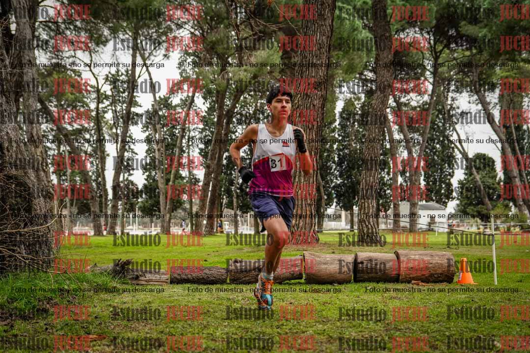 Fotos en el circuito