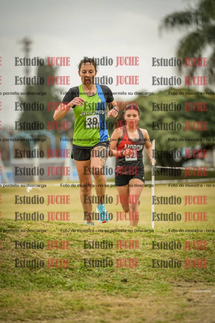 Fotos en el circuito