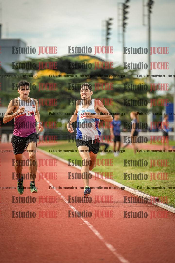 Fotos de los 800 m llanos de varones