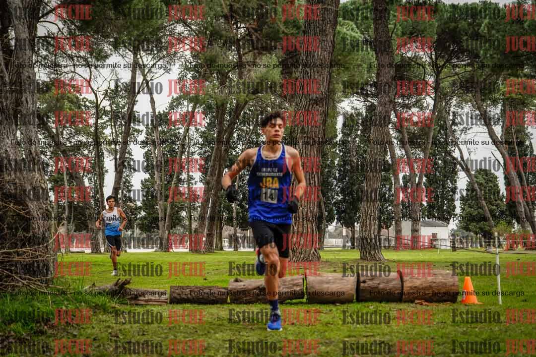 Fotos en el circuito