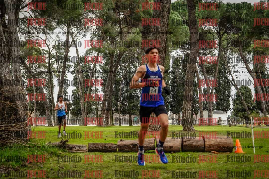 Fotos en el circuito