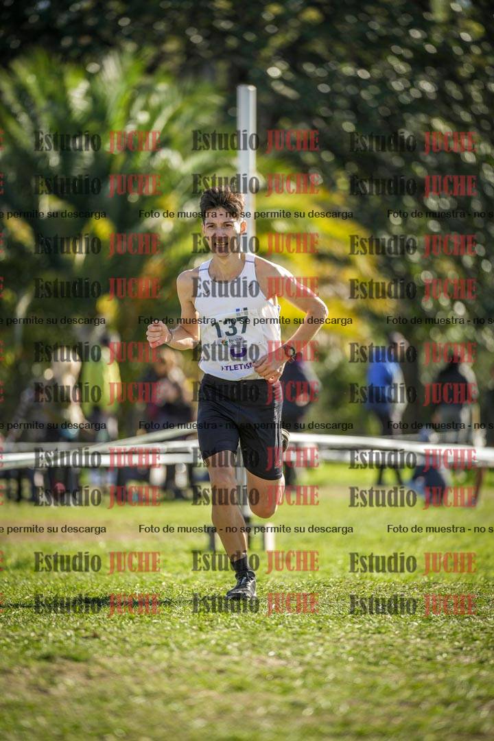 Fotos de la llegada del cross de 8000 m