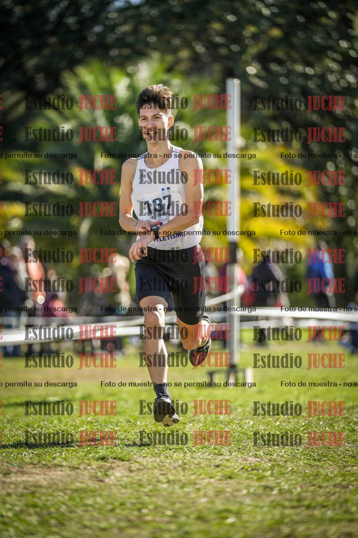 Fotos de la llegada del cross de 8000 m