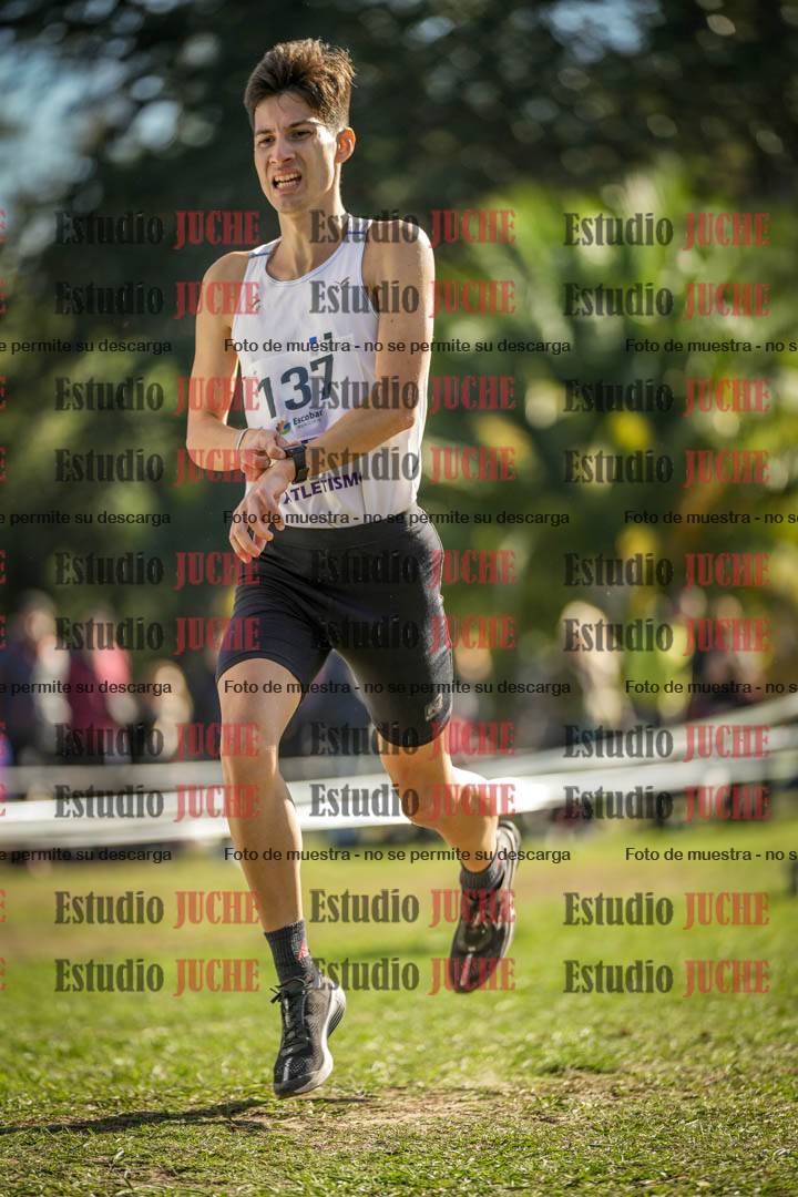 Fotos de la llegada del cross de 8000 m