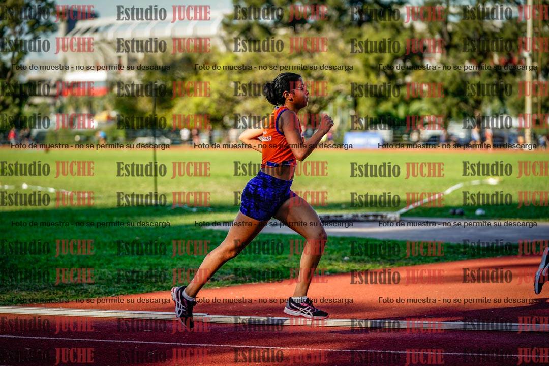 Fotos de los 1500 m de mujeres