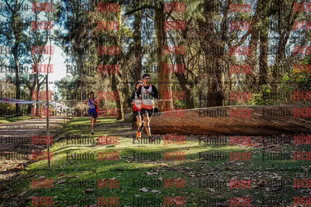 Fotos en el cuarto punto del circuito