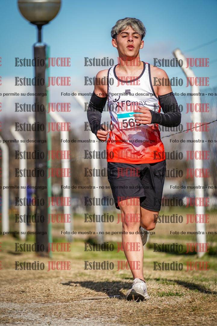 Fotos en el circuito