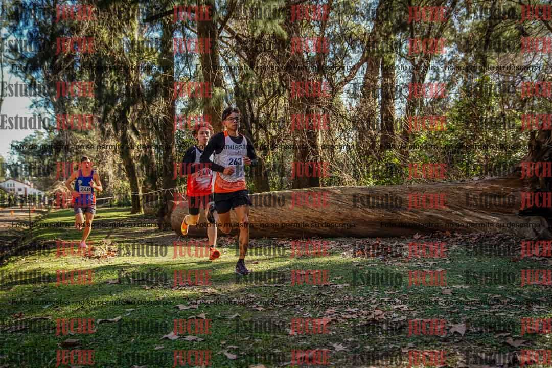 Fotos en el cuarto punto del circuito