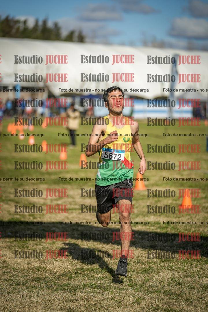 Fotos de las llegadas