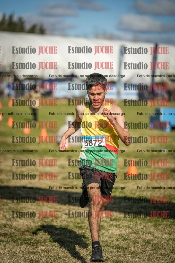 Fotos de las llegadas