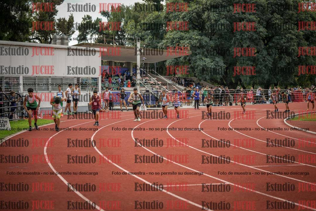 Fotos de los 800 m llanos de varones