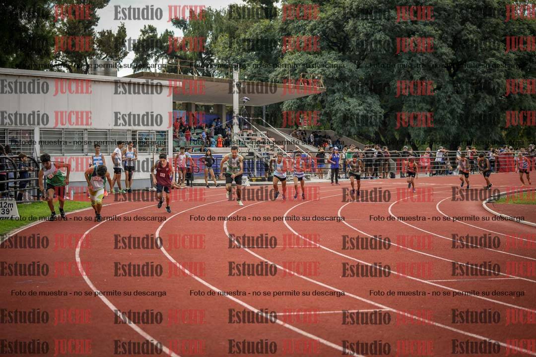 Fotos de los 800 m llanos de varones