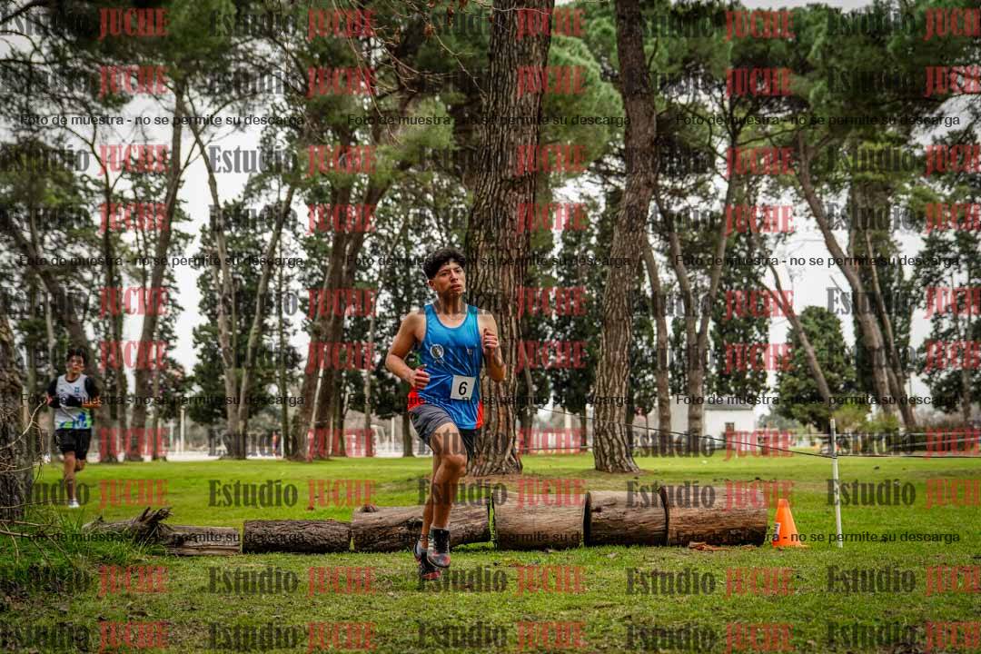 Fotos en el circuito
