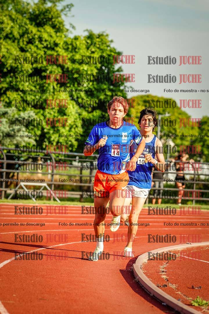 Fotos de los 1500 m llanos de varones