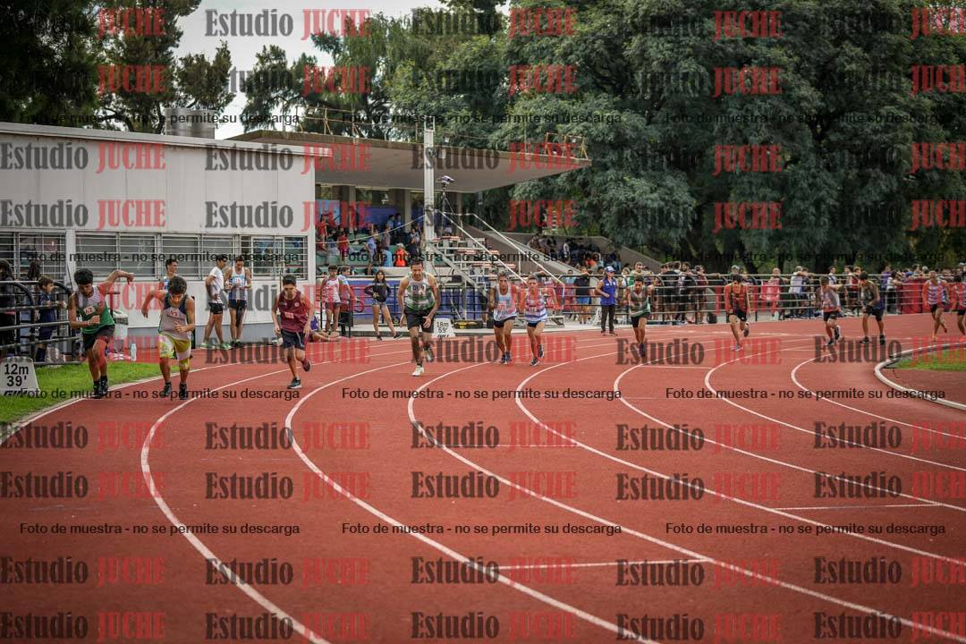 Fotos de los 800 m llanos de varones