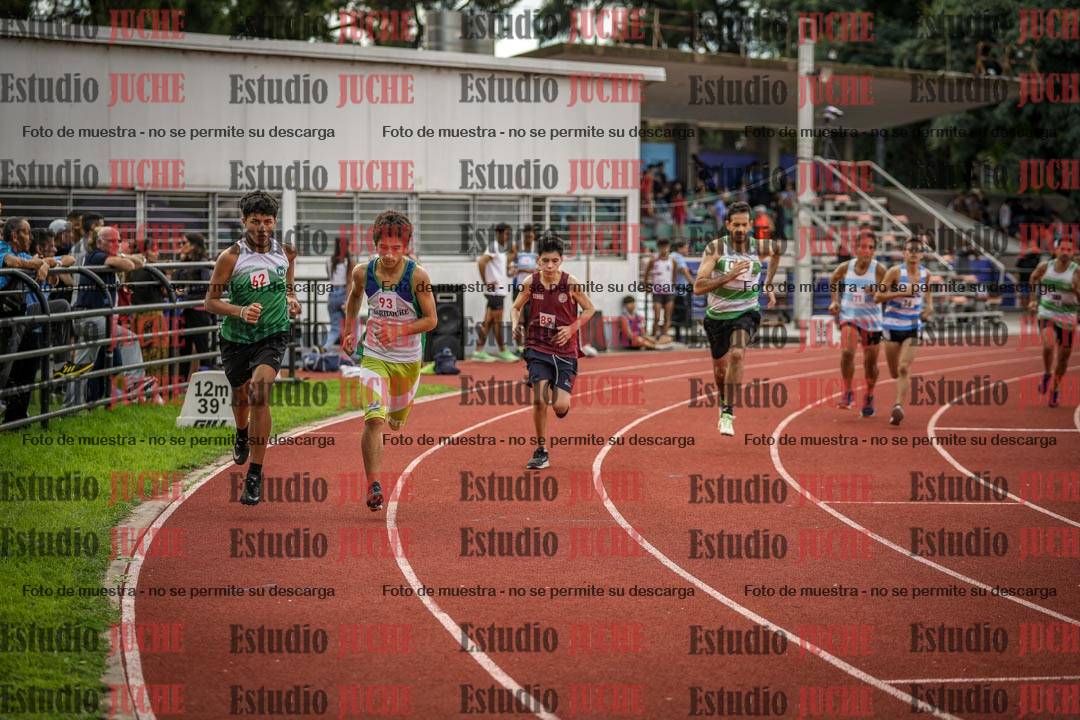 Fotos de los 800 m llanos de varones