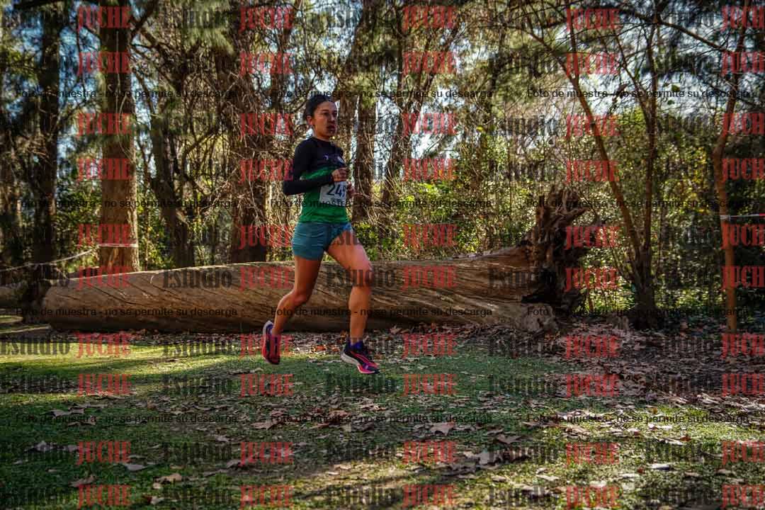 Fotos en el cuarto punto del circuito