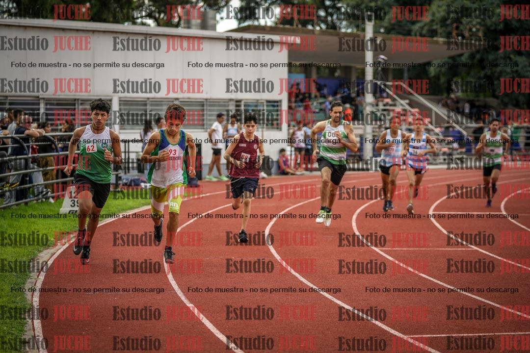 Fotos de los 800 m llanos de varones