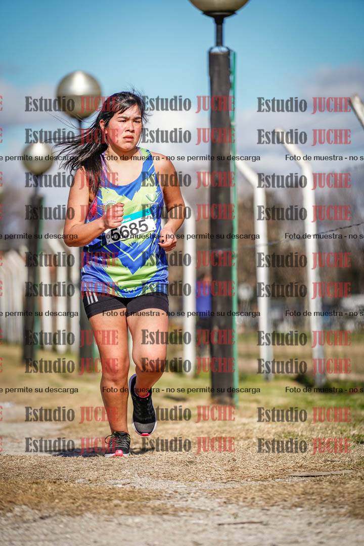 Fotos en el circuito