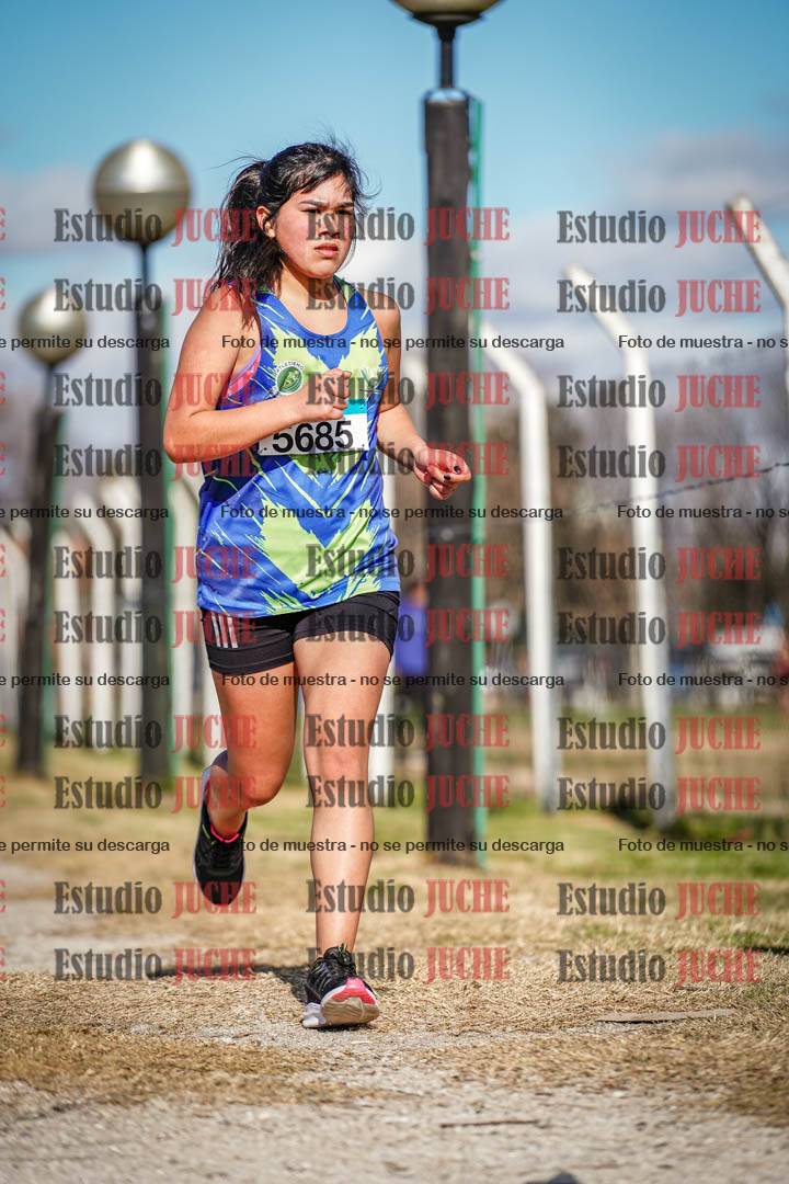 Fotos en el circuito