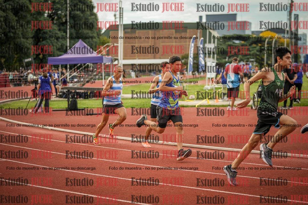 Fotos de los 800 m llanos de varones
