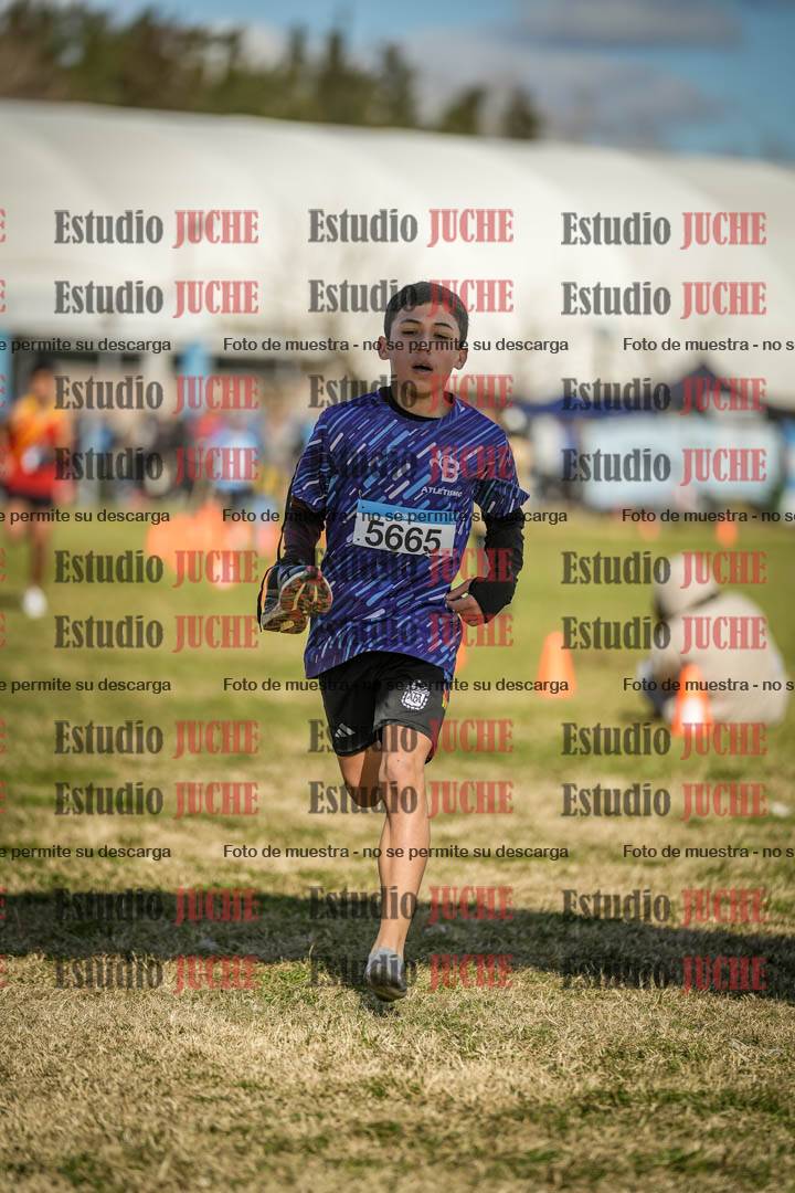 Fotos de las llegadas
