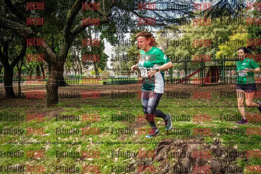 Fotos en el circuito