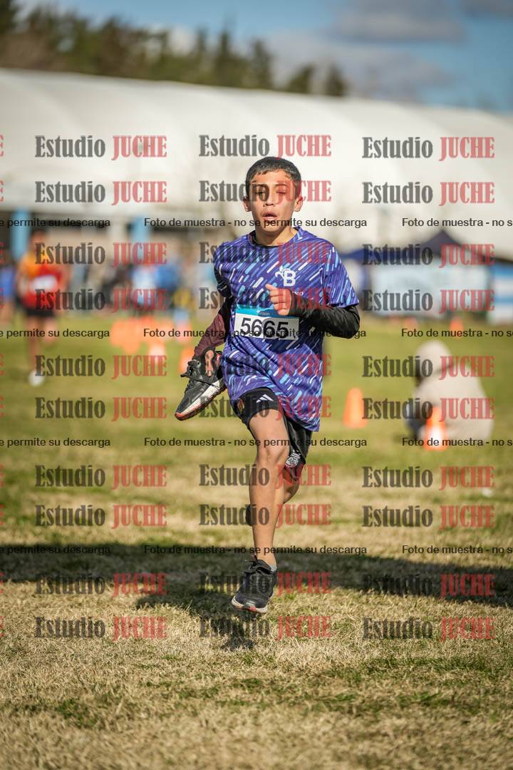 Fotos de las llegadas