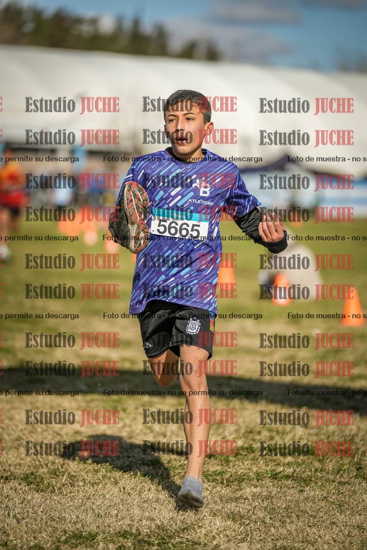 Fotos de las llegadas