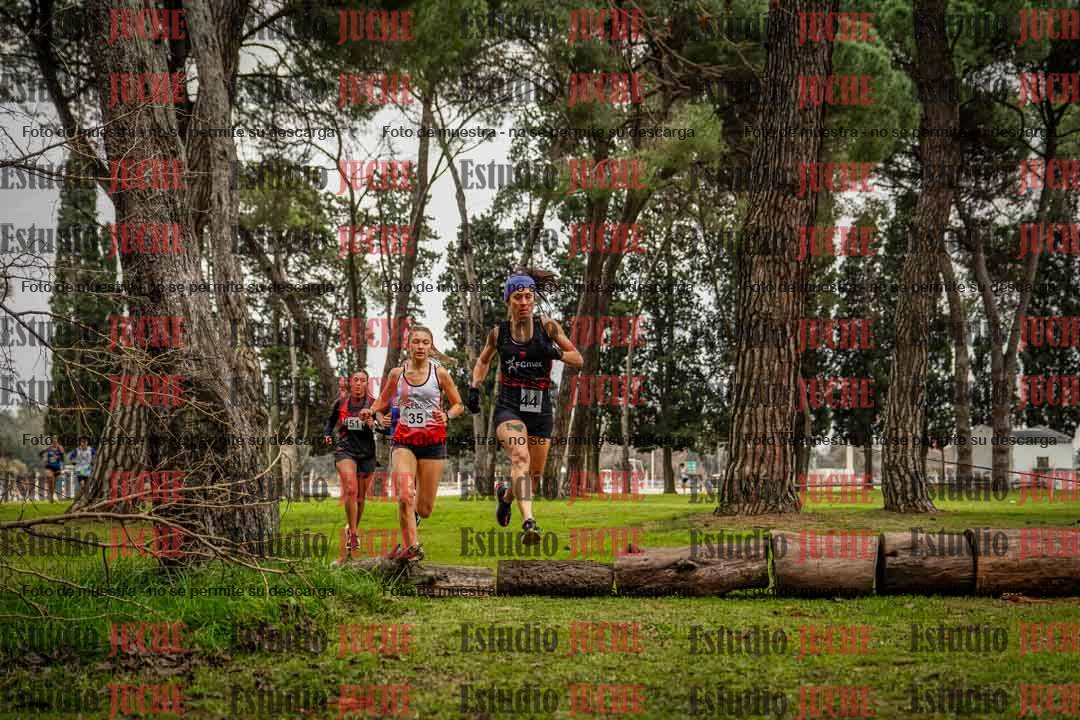 Fotos en el circuito