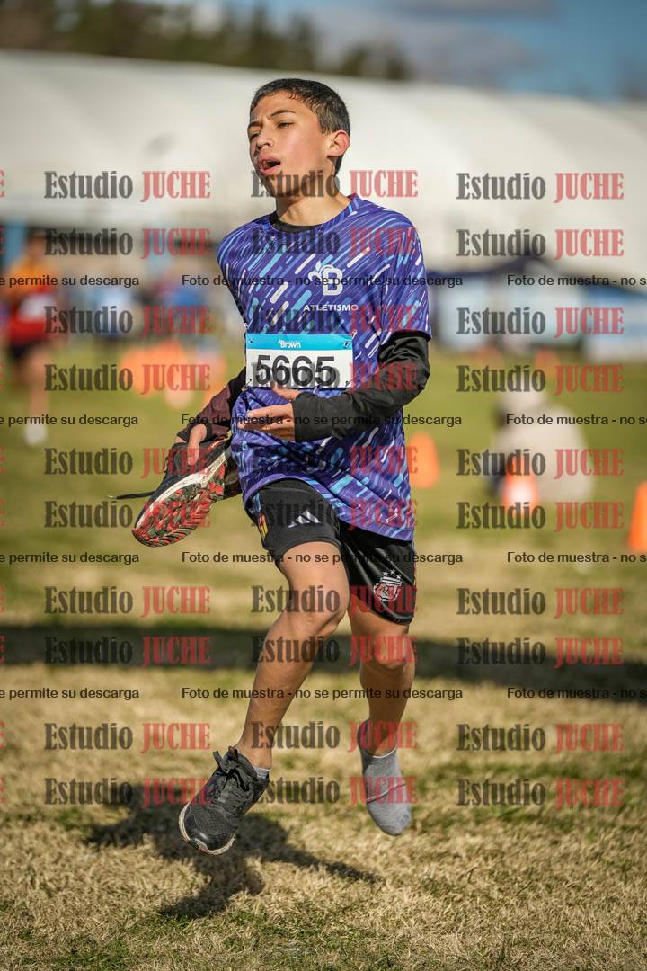 Fotos de las llegadas
