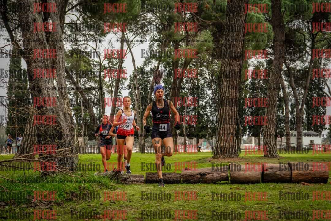 Fotos en el circuito