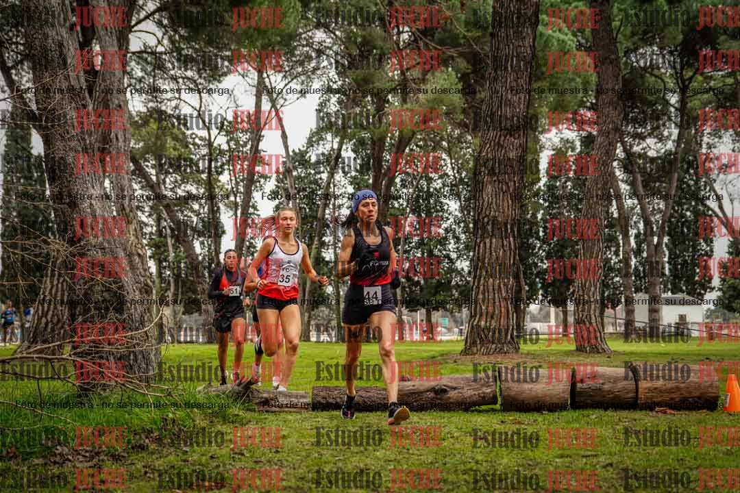 Fotos en el circuito